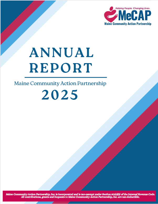MeCap Annual Report 2025